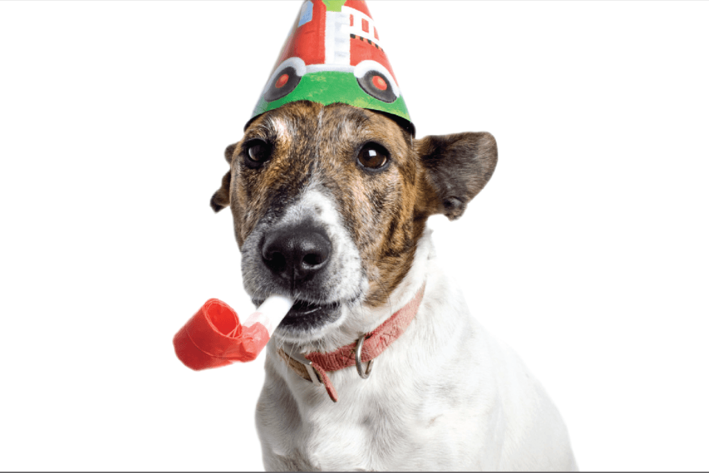 Clear the Shelters with NBC 4