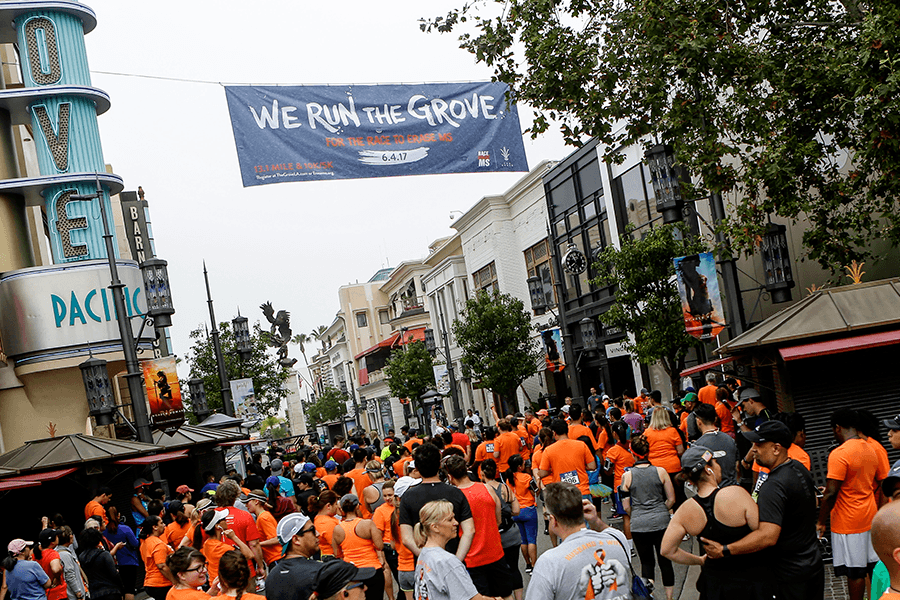 We Run The Grove