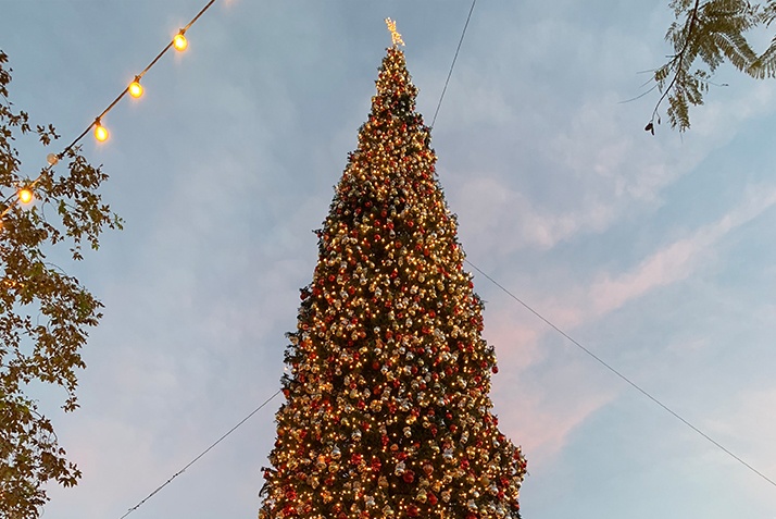 10 Reasons Not to Miss Christmas at The Grove LA