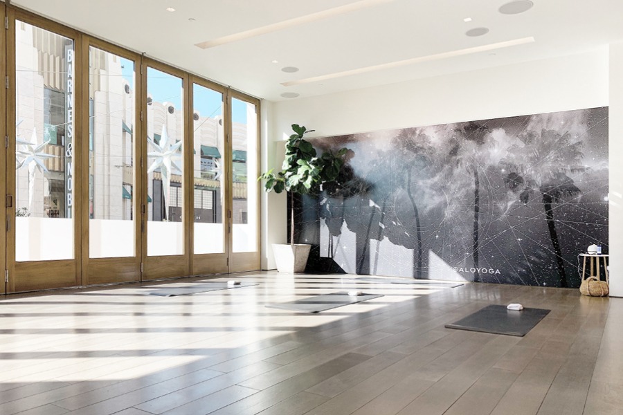 Anahata: A Celebration of the Heart Chakra <br> at Alo Yoga