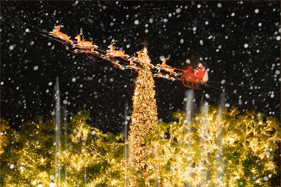 A Winter Wonderland
