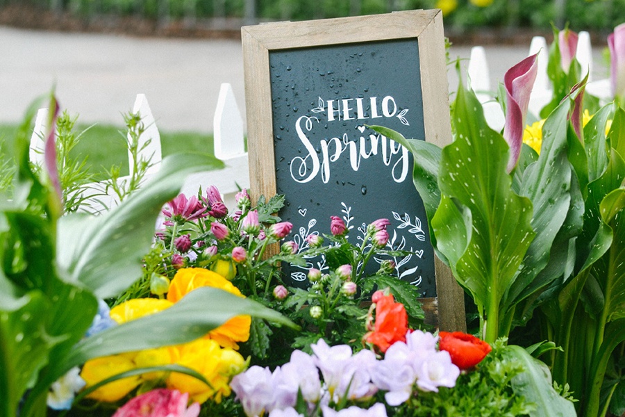 Springtime at The Grove: Photo Op