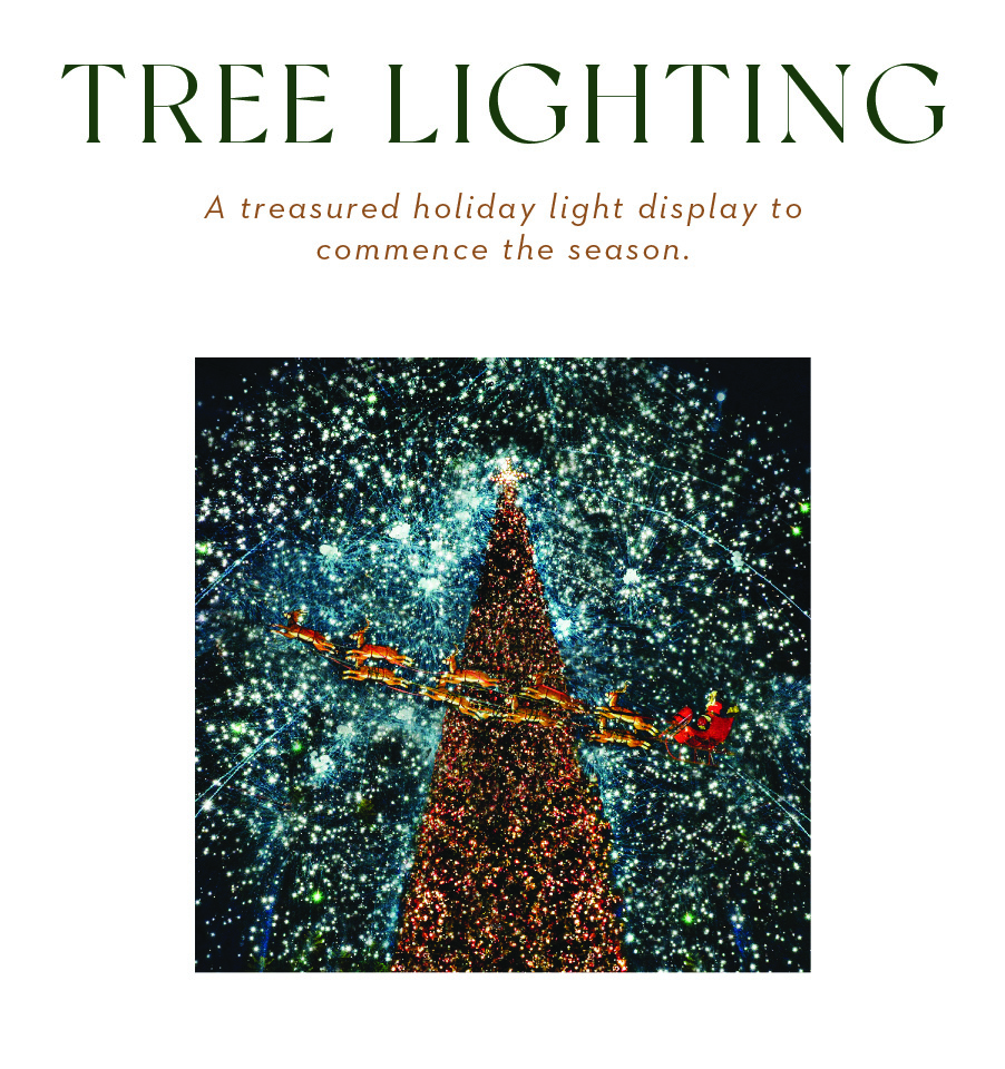 Text: Tree lighting. A treasured holiday light display to commence the season.